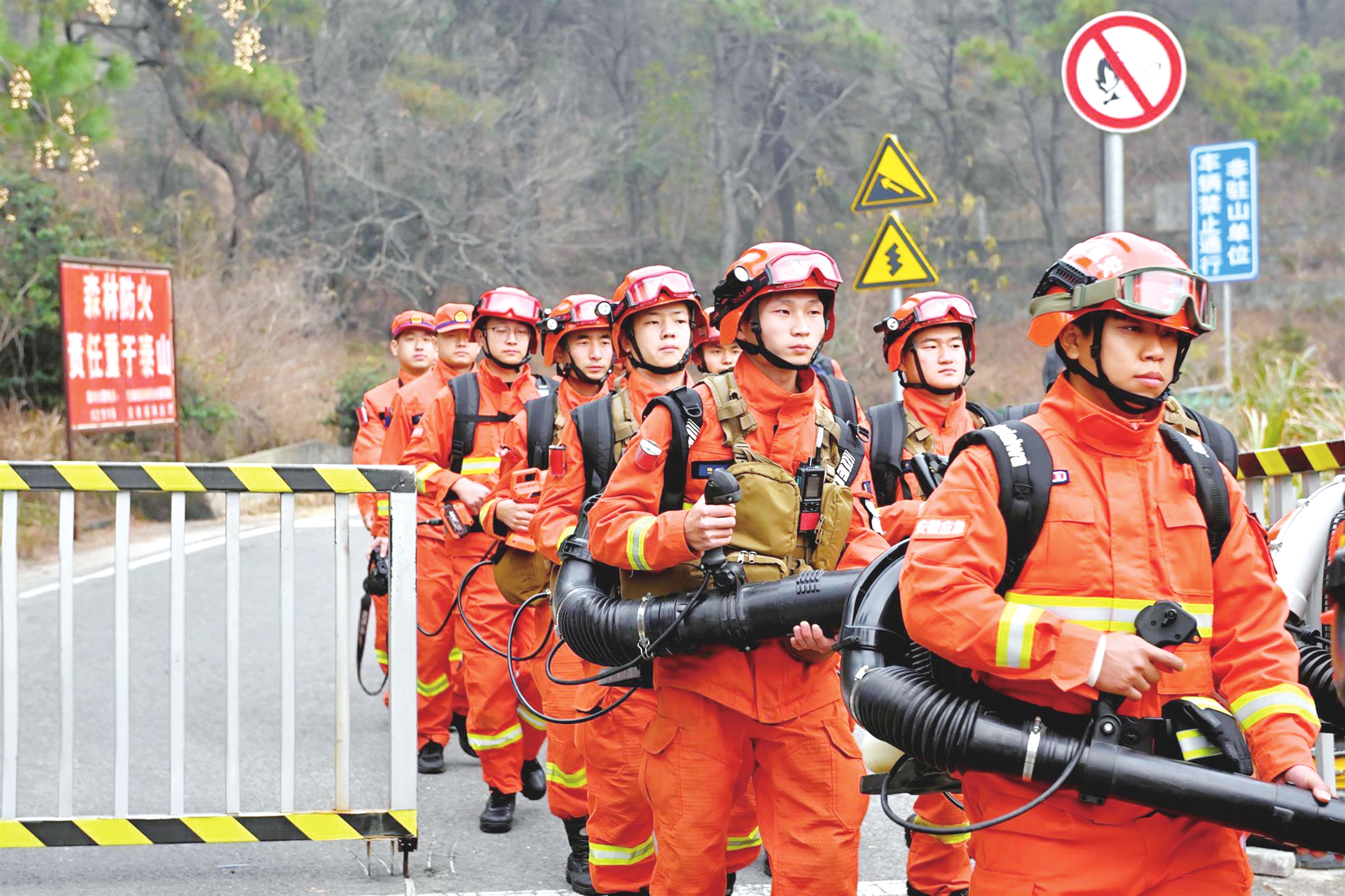联合行动防火护林