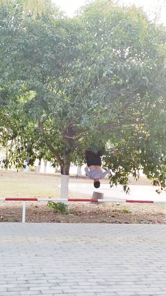 《安庆晚报》热线:我在莲湖公园锻炼时,经常看到一些人通过倒挂树上